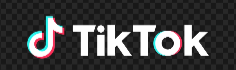 tiktok logo_ 236450px